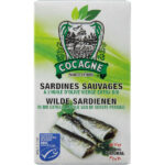 sardinha